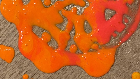 Header of lycrastee
