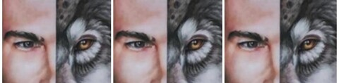Header of magicae_bestias
