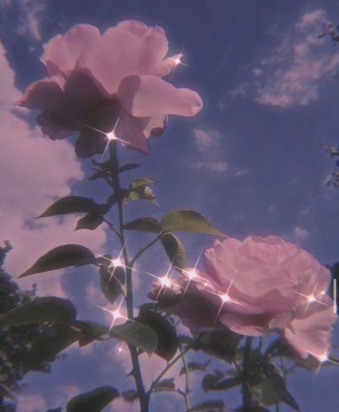 Header of mak_daddyy