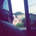 Download mari- OnlyFans videos and photos for free 

 profile picture