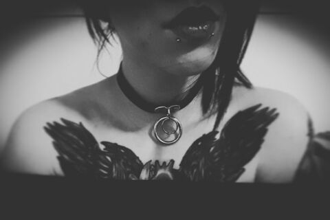 Header of melanivy