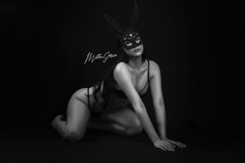 Header of melissaortizho1