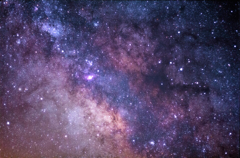 Header of miss-artie