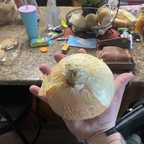 Free access to @mkultra1969 Leak OnlyFans 

 profile picture