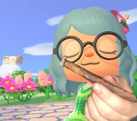 Header of momma_moira