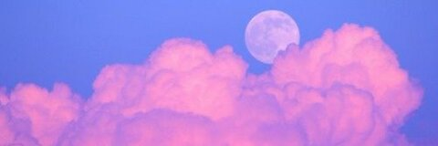 Header of moon_irl