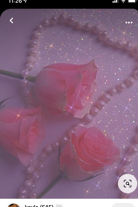 Header of moonniee