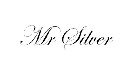 Header of mr_silver87