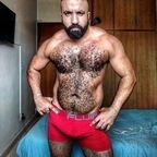 musclebearbrazil profile picture