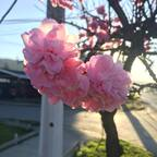 Onlyfans leak nahoomt 

 profile picture