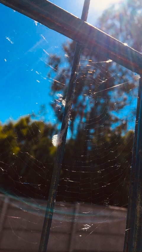 Arya @arya.lam Leaks OnlyFans - LeakedOnlyF