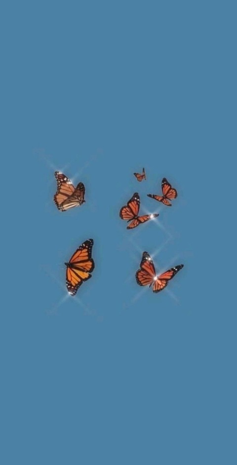 Header of naturaalnovaa