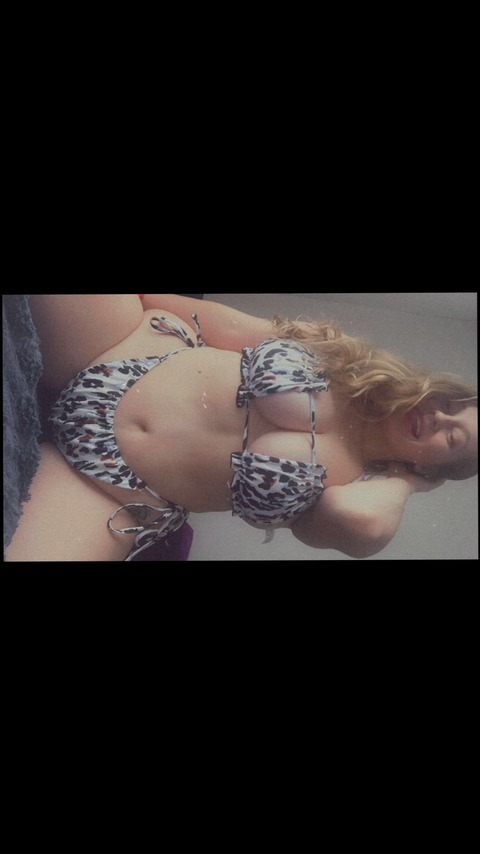 Header of nikkireins24