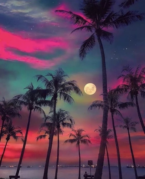 Header of noface.nocase23