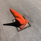 Download nuttintosee OnlyFans content for free 

 profile picture