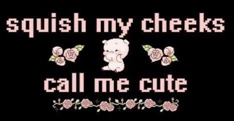Header of nyxie