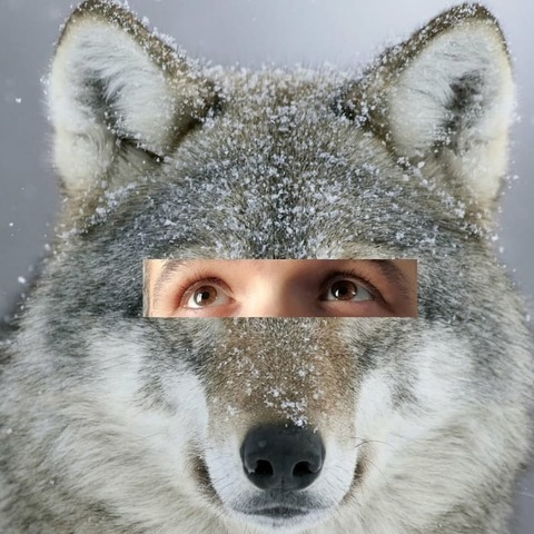 Header of oblivionswolf