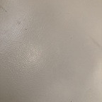 ohrangutang (OhRang) OF Leaked Pictures & Videos [FREE] profile picture