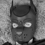 onestretchypup OnlyFans Leaks 

 profile picture
