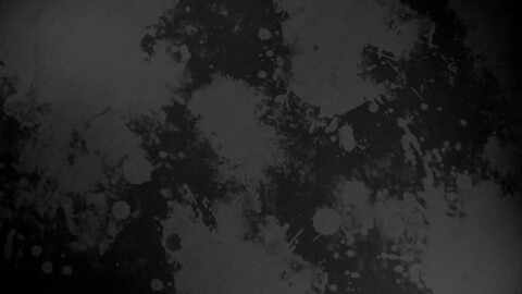 Header of p4r4n0id-wh0r3