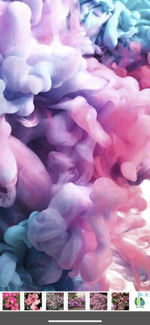 Header of paigeloveee