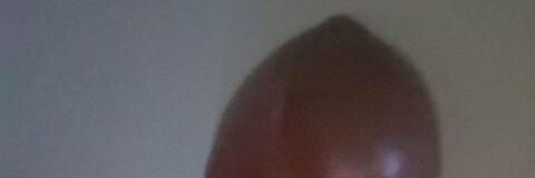 Header of palita