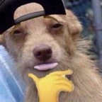 palmtoptig3r (palmtoptiger) Leaks OnlyFans 

 profile picture