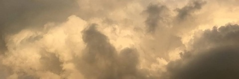 Header of panickingxmanic