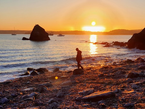 Header of pegginglover