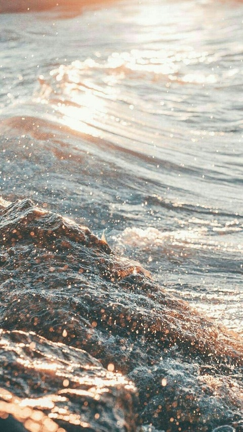 Header of petitebbgirll