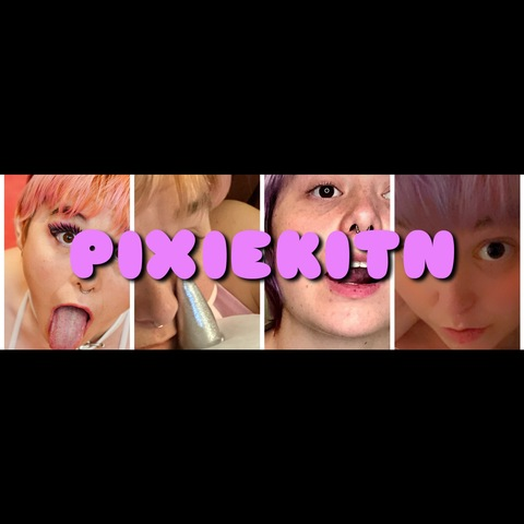 Header of pixiekitn