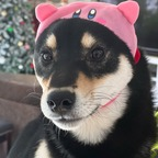 Poogie (poogie_fan69lol) Leaked OnlyFans 

 profile picture