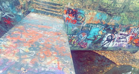 Header of priscilla7