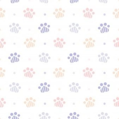 Header of rachelsfeet10