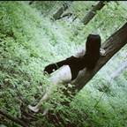 ravenreigns (RavenReigns) free OF Leaked Videos and Pictures [FREE] profile picture