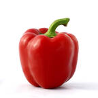 redpaprika (Paprika) OnlyFans Leaked Pictures & Videos 

 profile picture