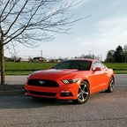 revolt50h (Wierd will) free OnlyFans Leaked Content 

 profile picture