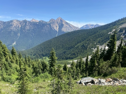 Header of rhinodread1