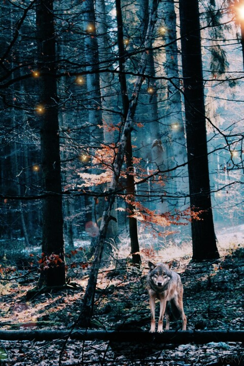 Header of rikkiiii