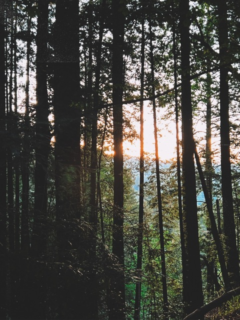 Header of rileydavisxx