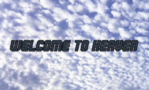 Header of roarie