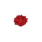 🌹 (rosierosierosie) Leak OnlyFans 

 profile picture