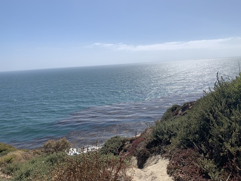 Header of roughrios12