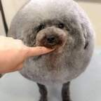 Rudi68 (@rudi68) Leaks OnlyFans 

 profile picture