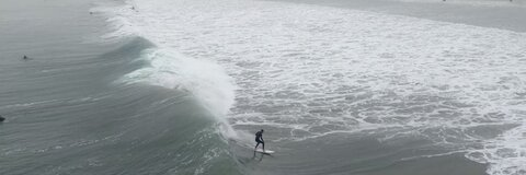 Header of sarkissian