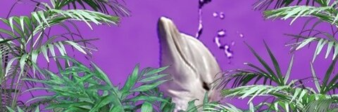 Header of saskatoon