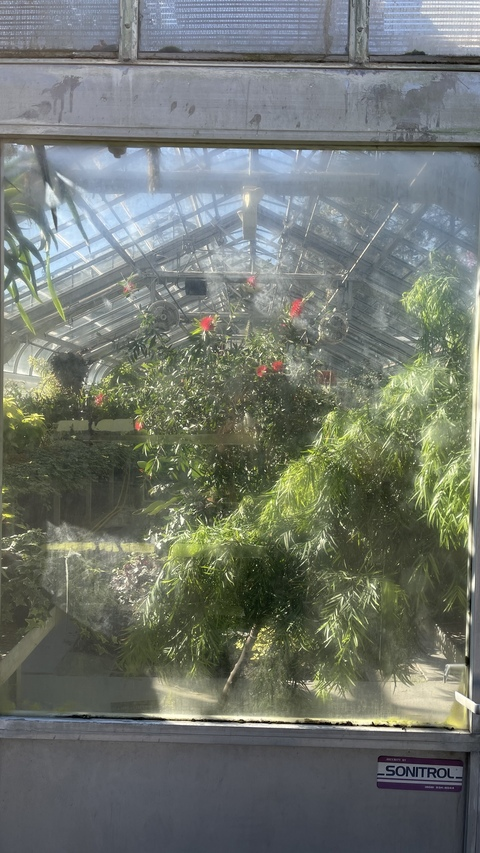 Header of saucy420