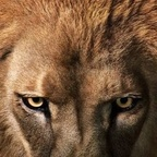 Onlyfans leaks saunz 

 profile picture