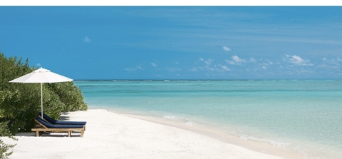 Header of savannahstern