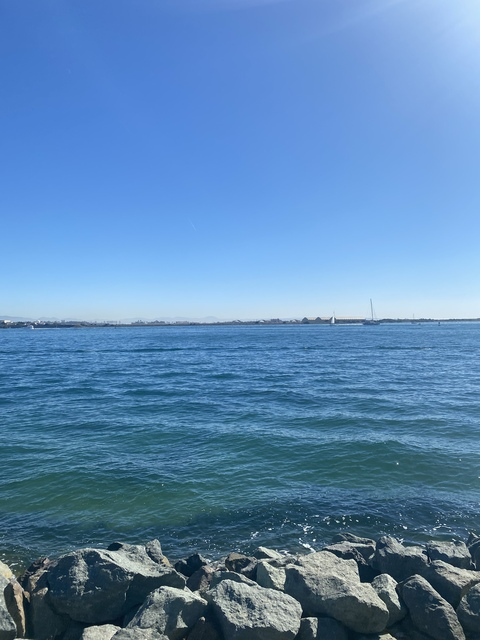 Header of sdlefty15